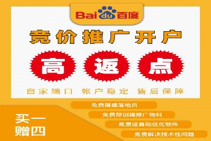 成功案例：网络推广与竞价广告的完美结合
